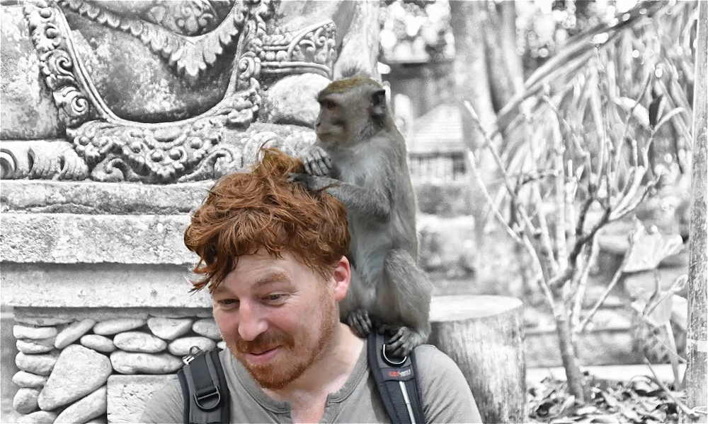 I Got Bit By A Monkey Once