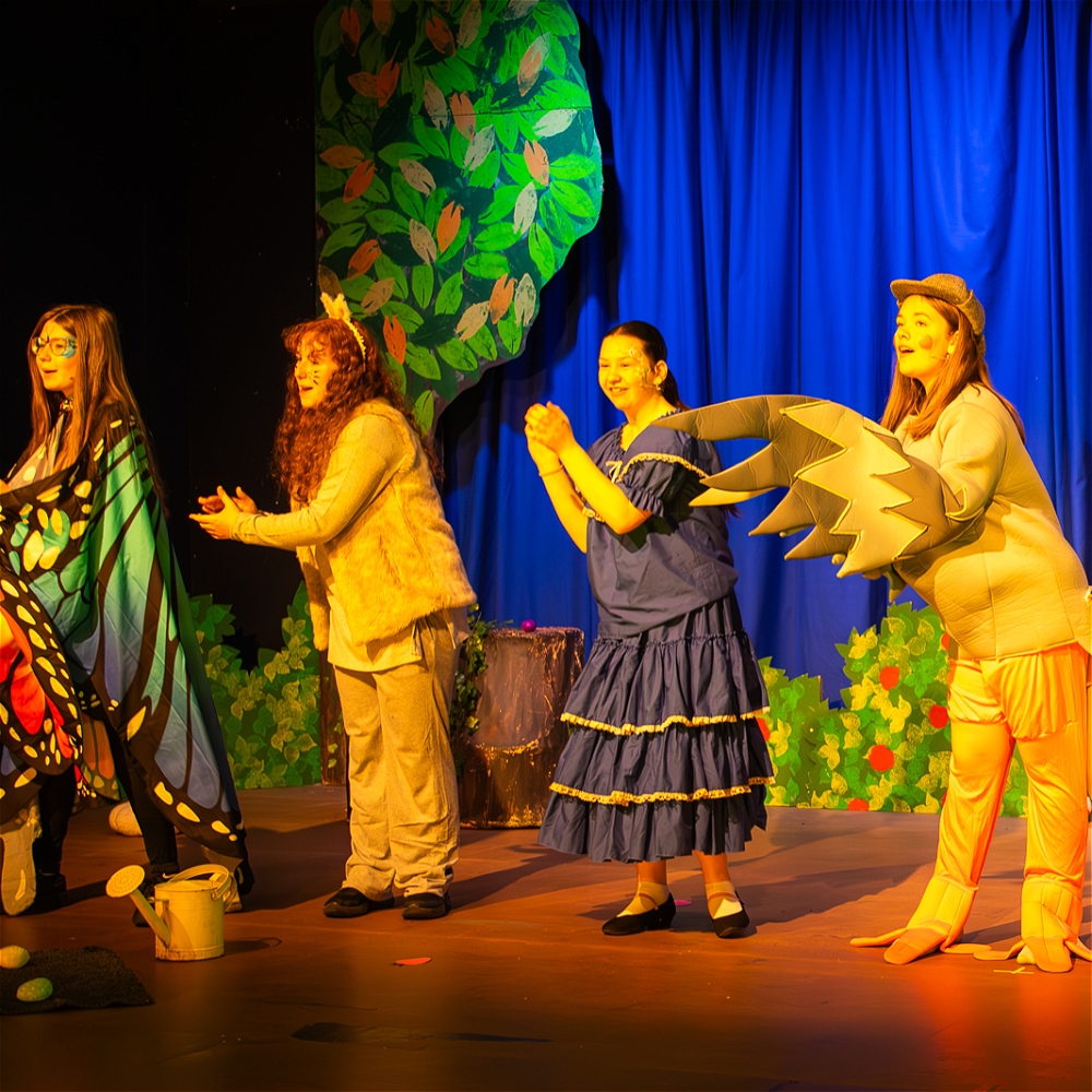 Children’s Theatre – presented by Norbury Youth Theatre