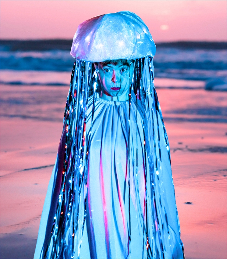 Jellyfish