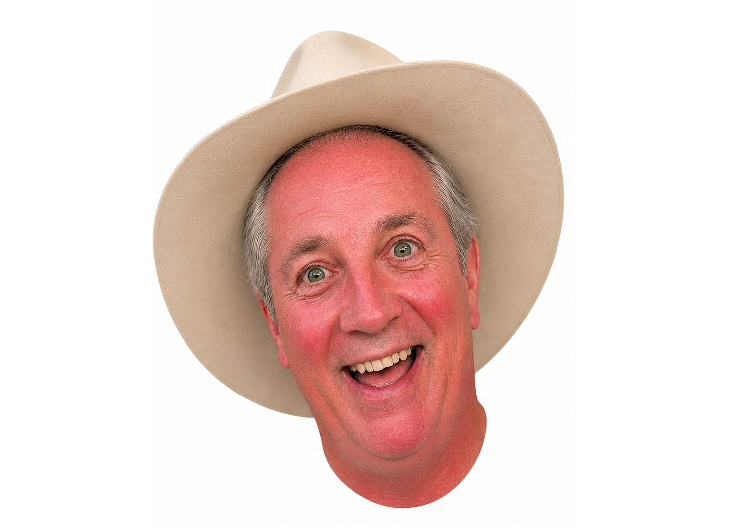 Barnaby: A Country Musical