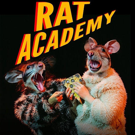 Rat Academy