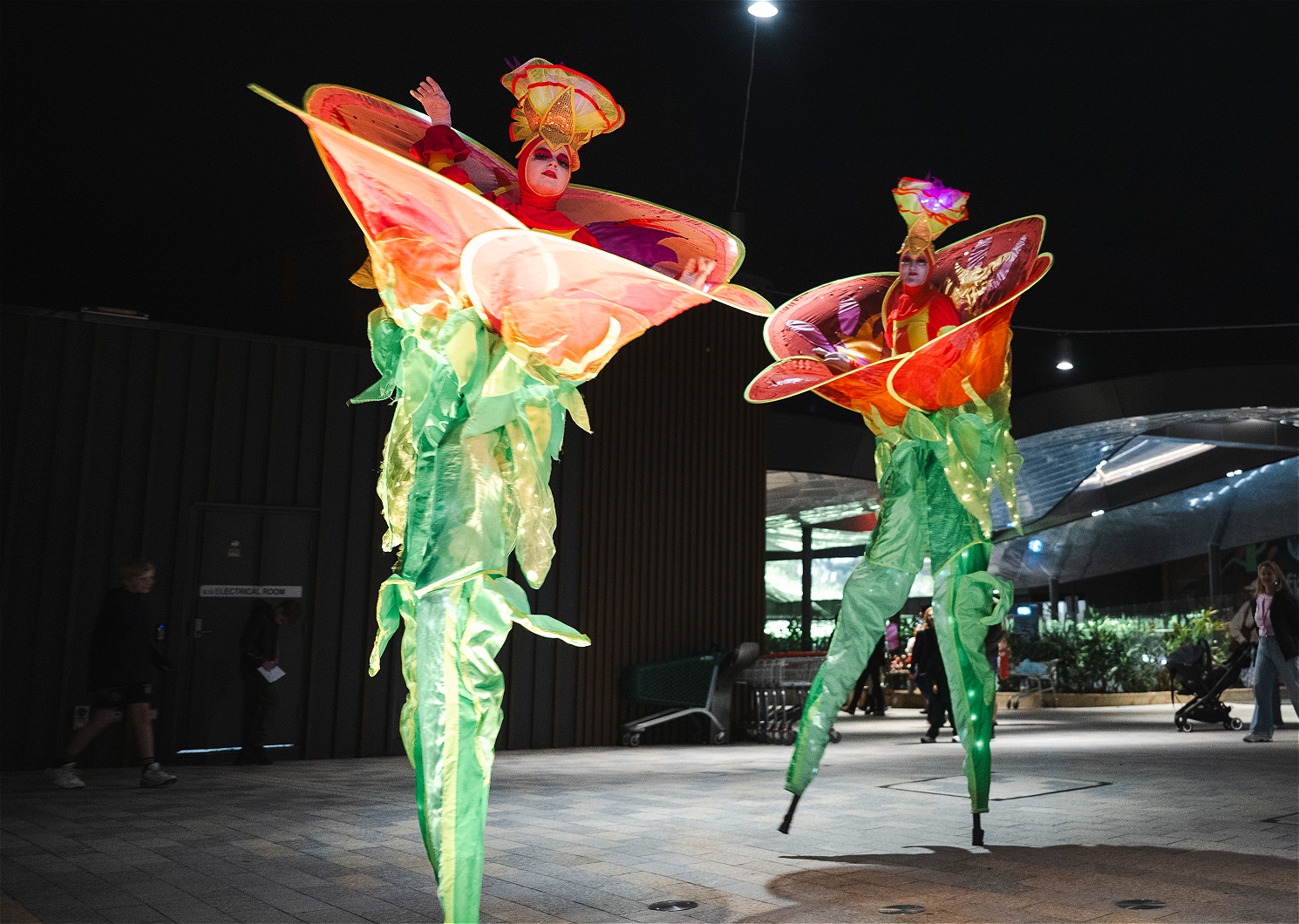 Lane Cove @Sydney Fringe Launch Event