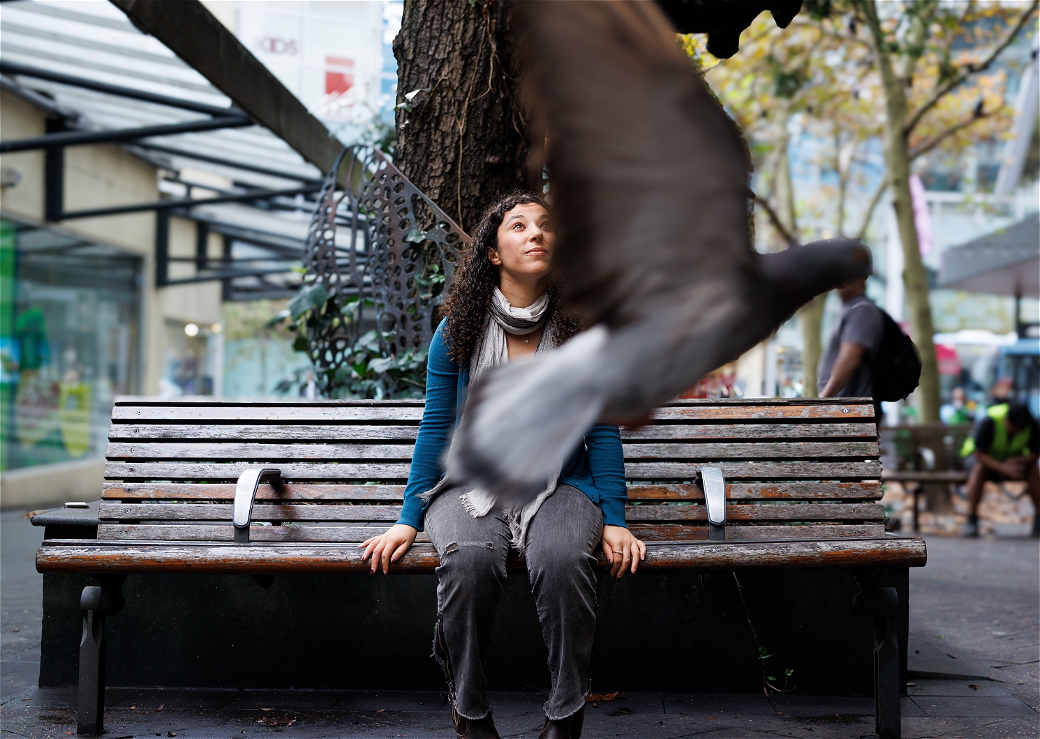 Pigeon
