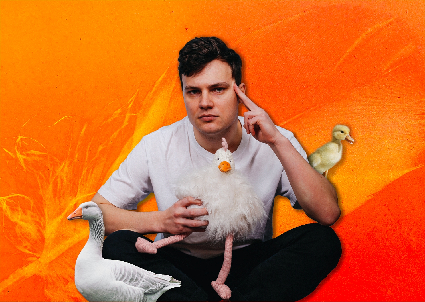Oliver Pol: Featherbrained