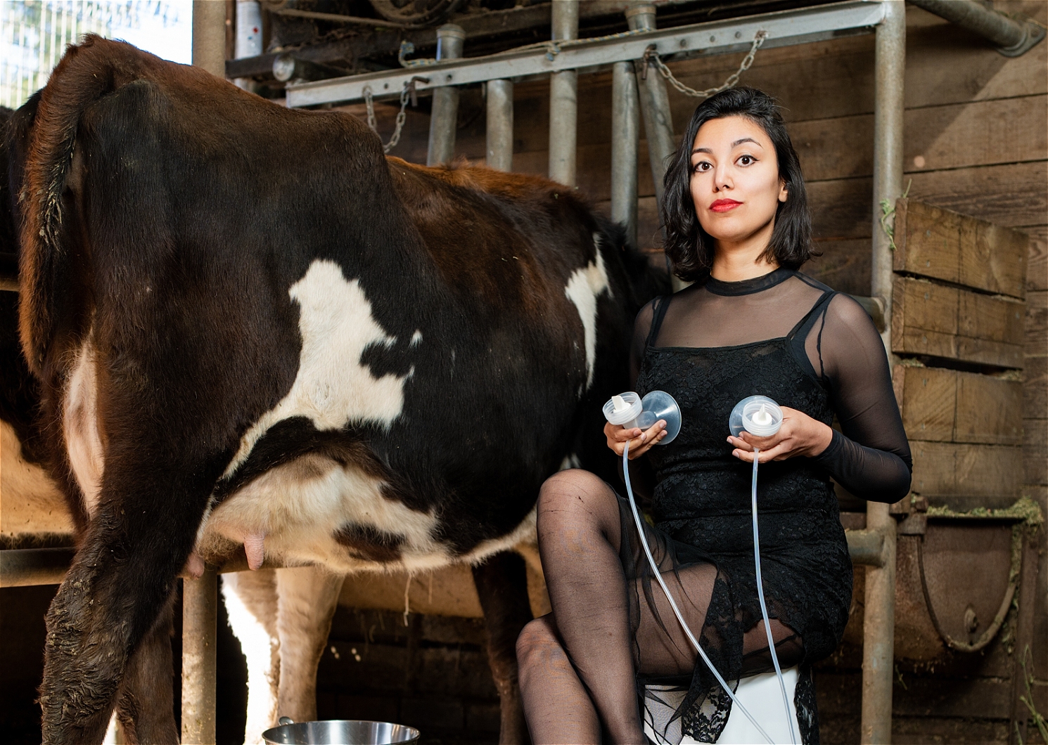 A mum, a cow & 17 MILF jokes
