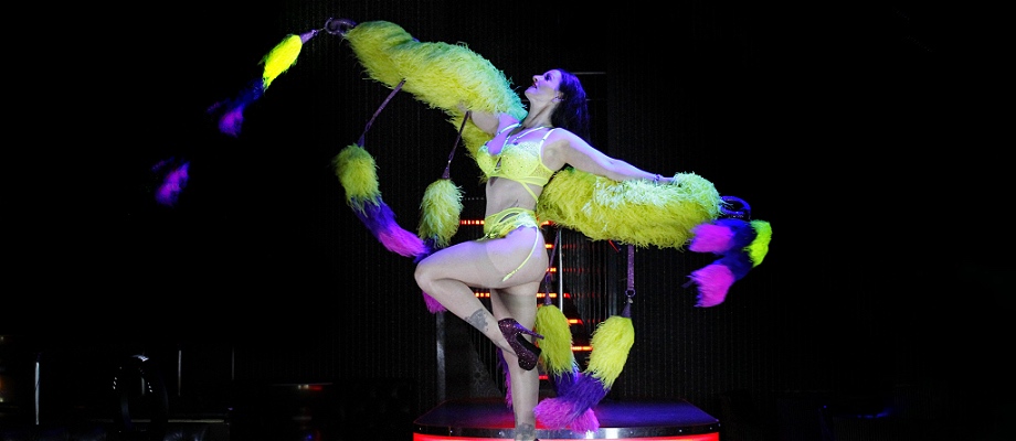 Burlesque Beauties